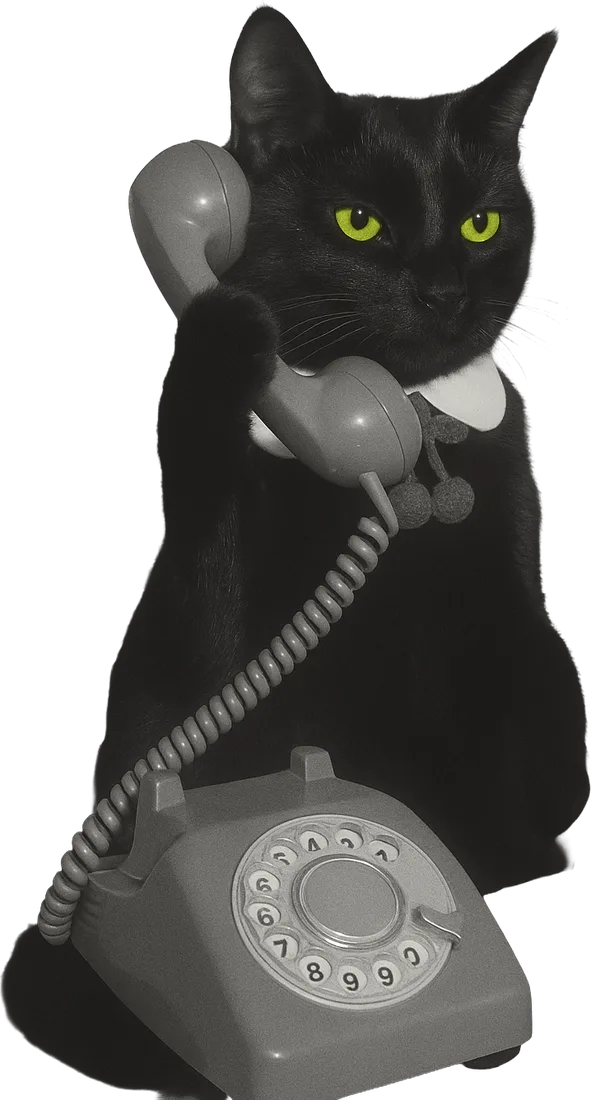 Hashi la un telefon cu disc, cu receptorul la ureche, gata să te sune